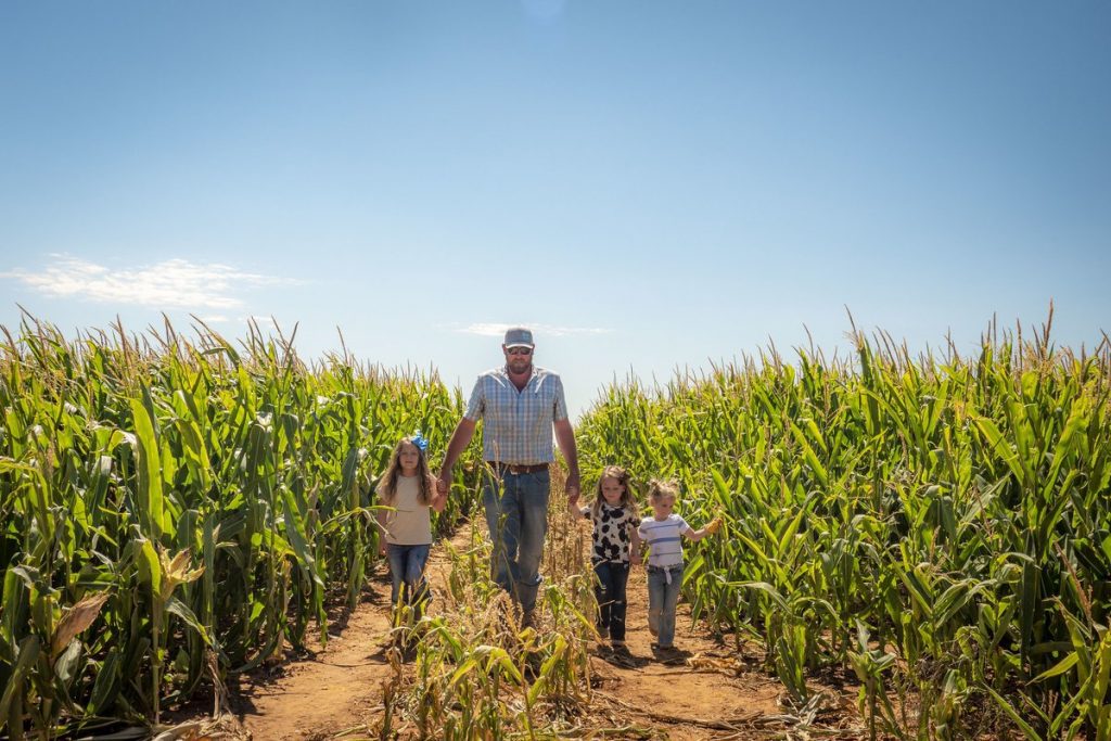 Contratos do Agronegócio